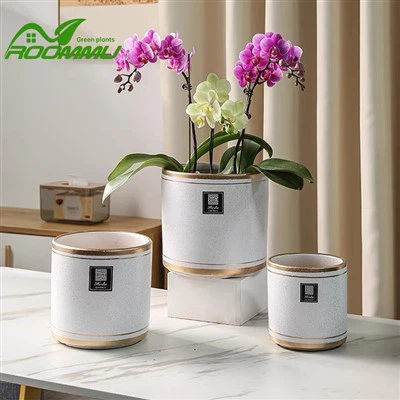 Modern Minimalist Tarzda Saksı